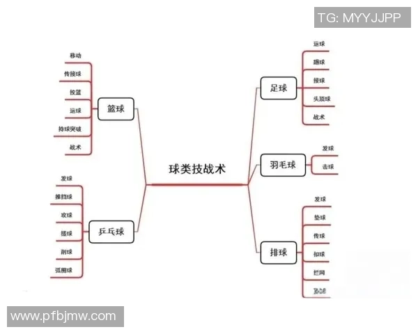南京篮球队战术解析与未来发展方向的深度探讨